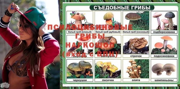 тгк Лагань