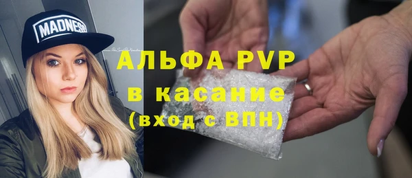 тгк Лагань