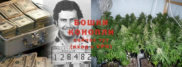 тгк Лагань