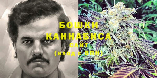 тгк Лагань
