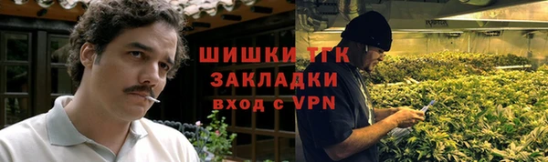 тгк Лагань
