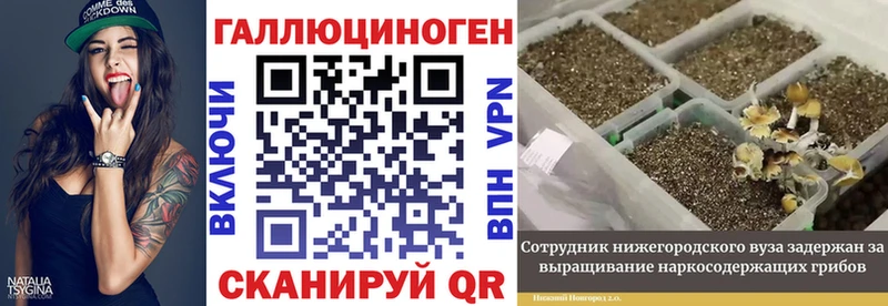 Псилоцибиновые грибы Magic Shrooms  Псков 