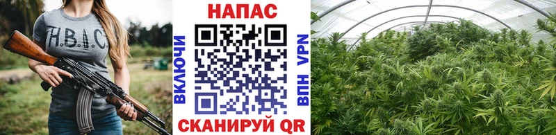 Марихуана индика  кракен онион  Псков 